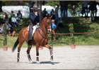 Pferd International 062